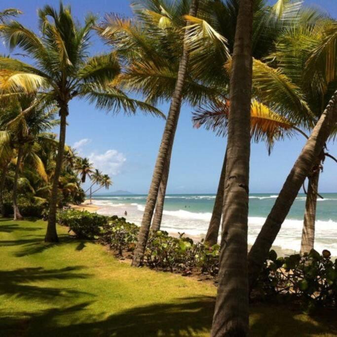 Beach Access + 3 Pools + Ocean Views - 2Br In Palmas - Sleeps 7 Lejlighed Humacao Eksteriør billede