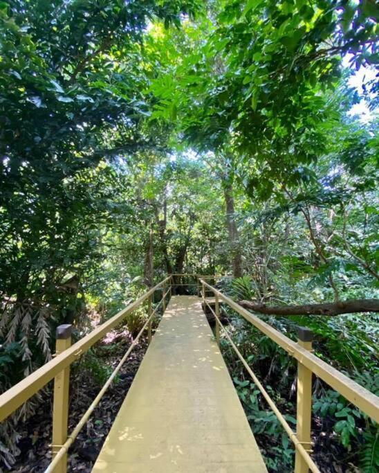 Beach Access + 3 Pools + Ocean Views - 2Br In Palmas - Sleeps 7 Lejlighed Humacao Eksteriør billede